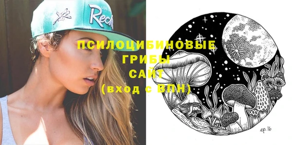 прущие грибы Алзамай