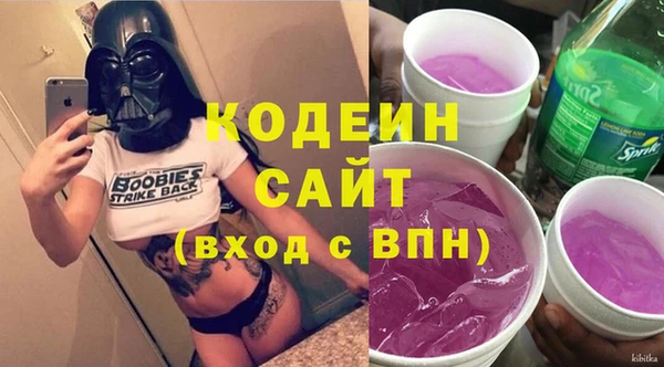 прущие грибы Алзамай