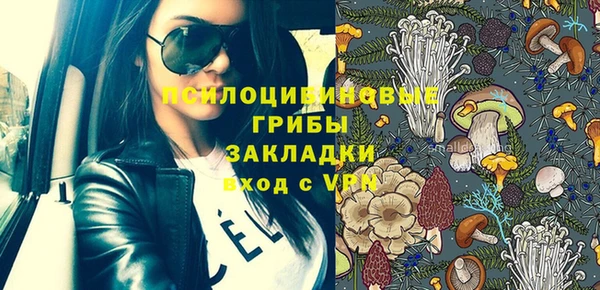 прущие грибы Алзамай