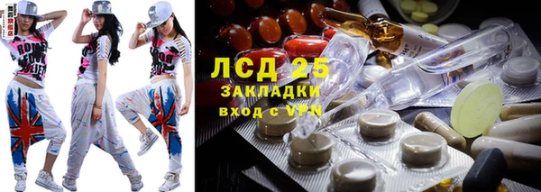 прущие грибы Алзамай