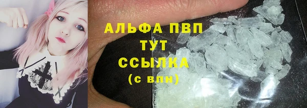 прущие грибы Алзамай